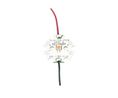 SMD LED 2700K Warm White 200mA 3.5V 120°